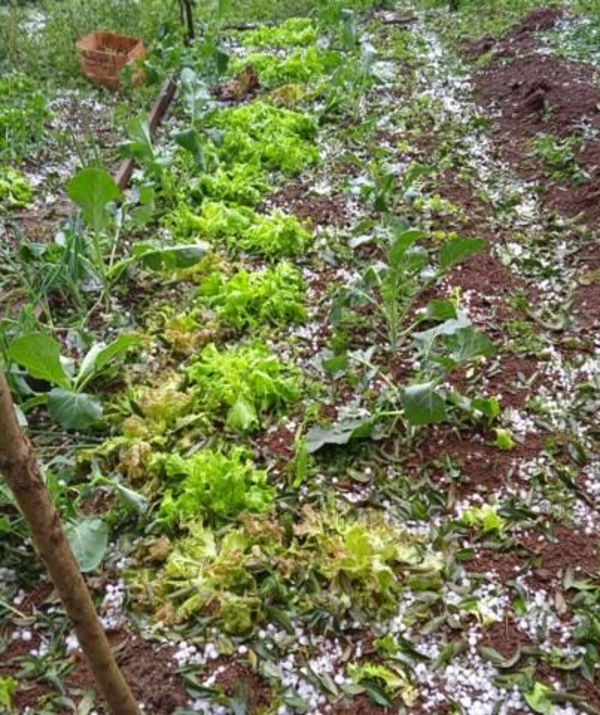 Temporal causó destrozos en varios distritos de Itapúa