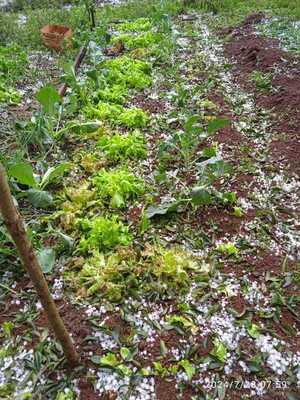 Productores del Nordeste de Itapúa sufren severos daños tras temporal