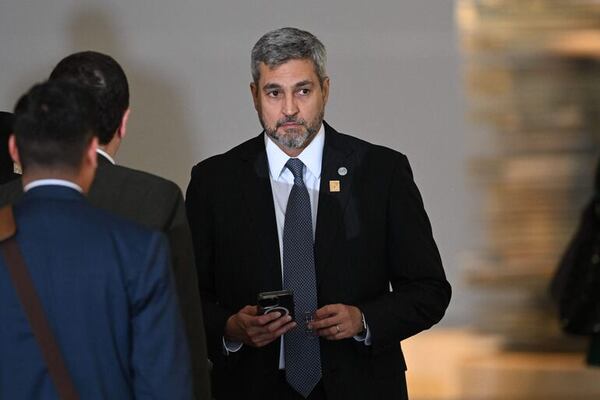 “Tenemos trazabilidad de lo que hacemos”, dice accionista de empresas vinculadas a Mario Abdo - Nacionales - ABC Color