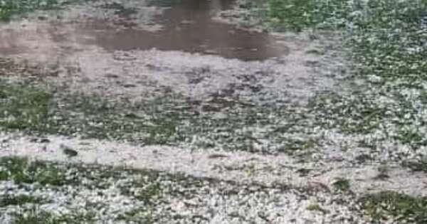 La Nación / Caída de granizo marcó el fin de semana en Escobar