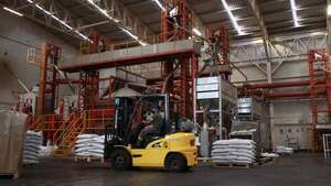 Grado de inversión: destacan potencial de negocios en rubro del cannabis industrial  - Economía - ABC Color