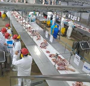 Menor pago a productores: estos son los argumentos de la Cámara Paraguaya de las Carnes - Economía - ABC Color