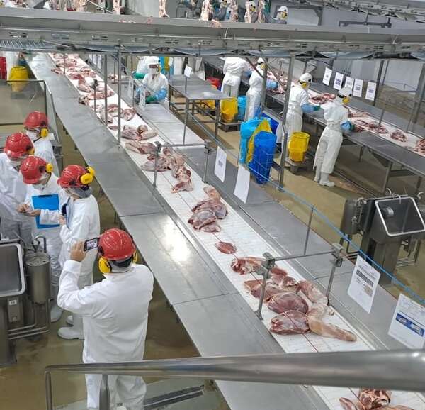 Menor pago a productores: estos son los argumentos de la Cámara Paraguaya de las Carnes - Economía - ABC Color