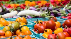 Medidas para el reingreso de productos vegetales - Megacadena - Diario Digital