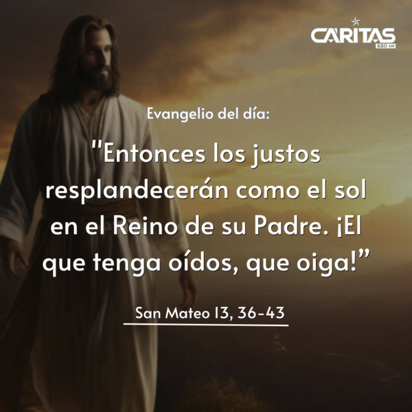 Martes 30 de julio de 2024 - Portal Digital Cáritas Universidad Católica