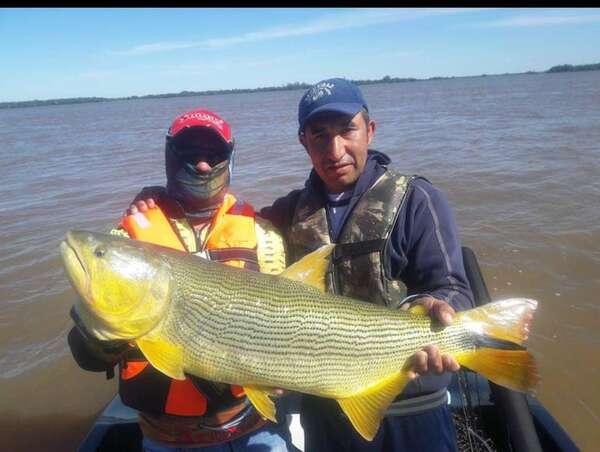 Río Paraná: escasez de agua afecta al sector pesquero en Ayolas - Nacionales - ABC Color
