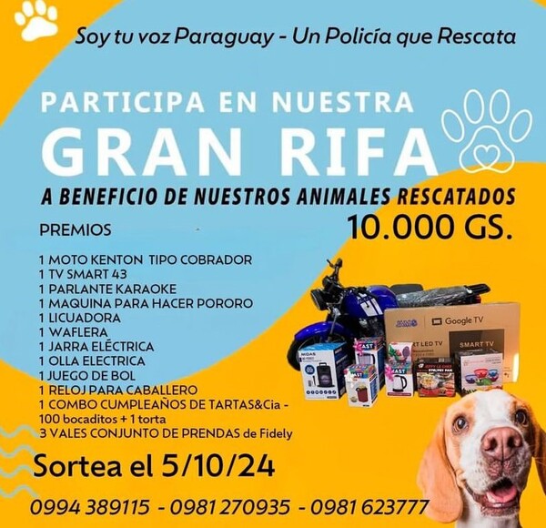 Para seguir ayudando a más peluditos callejeros, organizan rifa solidaria - trece