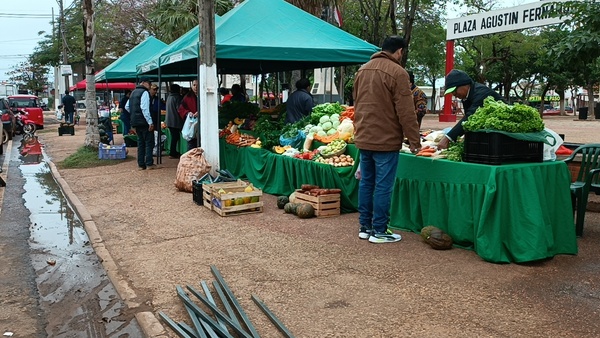 Escazas lluvias en Concepción ofrecen limitado alivio al sector rural