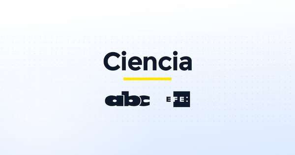 Lula se compromete a desarrollar una inteligencia artificial "puramente brasileña" - Ciencia - ABC Color