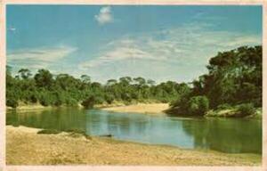 Falta aprobación del Congreso de Brasil, para puente sobre Río Apa.