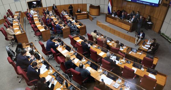La Nación / Senado se posiciona sobre situación en Venezuela e insta a auditar el proceso electoral