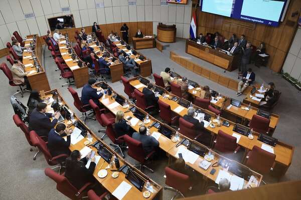 Senado repudia resultado de elecciones en Venezuela y exige transparencia - Política - ABC Color