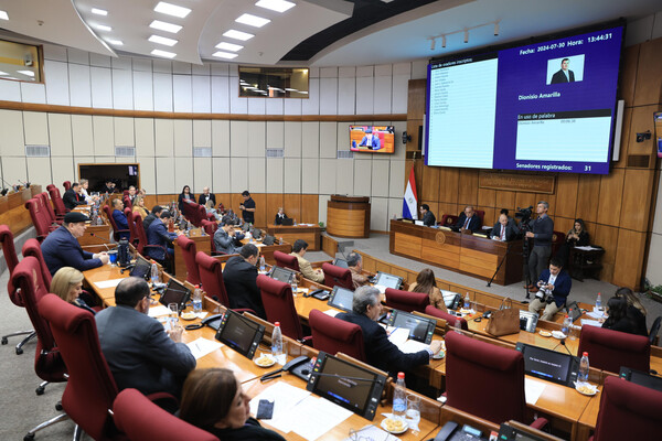 Senado expresa su preocupación por falta de transparencia en elecciones venezolanas