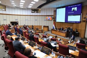 Senadores expresan preocupación por hechos en Venezuela - trece