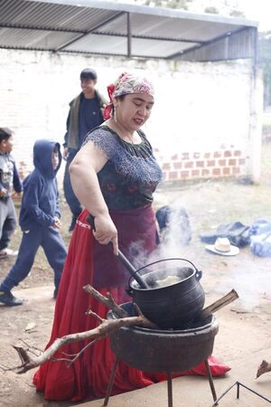 Exitoso Primer Festival del Reviro en Presidente Franco
