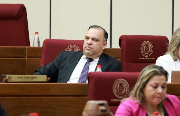 Senador colorado aboga por mejorar sistema y no está tan convencido en el derribo de aviones narco - Política - ABC Color