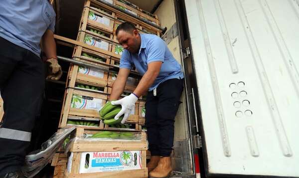 Paraguay envía por primera vez carga de banana al Brasil - Economía - ABC Color