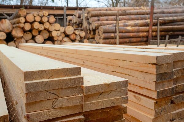 Exportaciones forestales crecen 10,1% en junio, con Reino Unido, EEUU y Brasil como principales destinos - MarketData