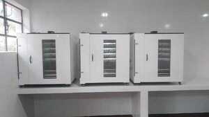 Avanza al 90% la instalación de la incubadora de pollitos en el CEMA de Pirapó
