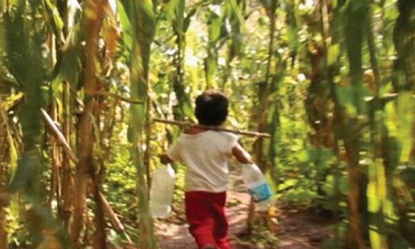 Degenerado llevó a su sobrinito a la chacra para violarlo – Prensa 5