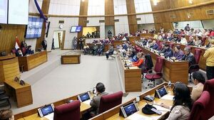 Oficialismo ausente en audiencia pública sobre proyecto de control a oenegés