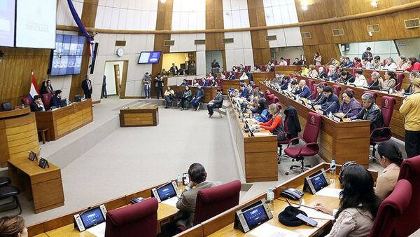 Oficialismo ausente en audiencia pública sobre proyecto de control a oenegés