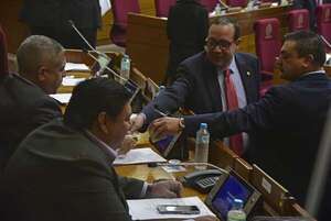 Diputados dilatan una semana quitar censo a adultos mayores - Política - ABC Color