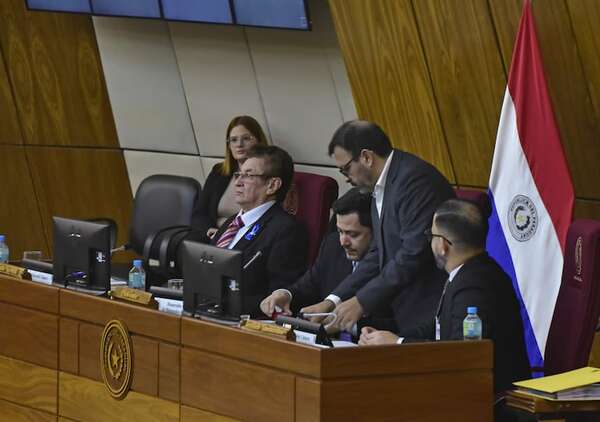 Por la ventana, Cámara Baja crea 5 comisiones - Política - ABC Color