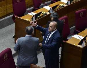 Aplanadora del cartismo censura debate en Senado - Política - ABC Color