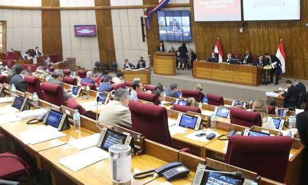 Diputados aprobó en general el proyecto de pensión universal para las personas adultas mayores