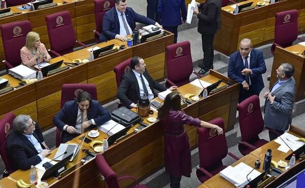 Creación de posible “comisión garrote” cartista sería tratada en el Senado la próxima semana - Política - ABC Color
