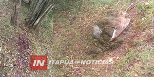 HECHO DE ABIGEATO EN SAN LUIS DEL PARANÁ  - Itapúa Noticias