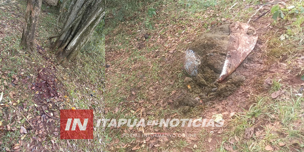 HECHO DE ABIGEATO EN SAN LUIS DEL PARANÁ - Itapúa Noticias