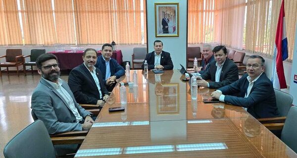 ANDE atiende requerimientos de industria farmacéutica que duplicará sus inversiones en el país - .::Agencia IP::.