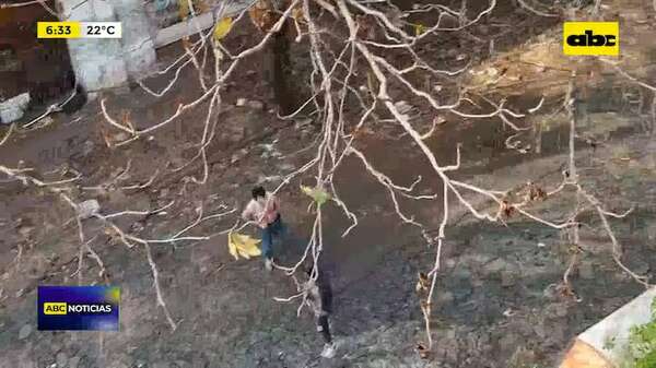 Video: Un presunto asaltante fue arrestado - ABC Noticias - ABC Color