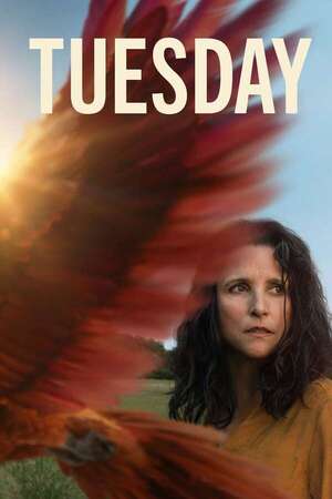 Tuesday - Cine y TV - ABC Color