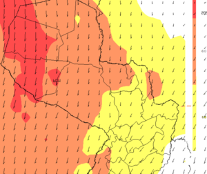 Meterología emite alerta por intensidad de vientos