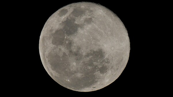 Un grupo de científicos propone almacenar muestras de biodiversidad en la Luna