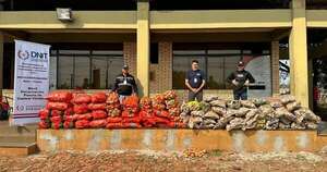 Diario HOY | Incautan casi 2 mil toneladas de productos frutihortícolas durante operativo anticontrabando