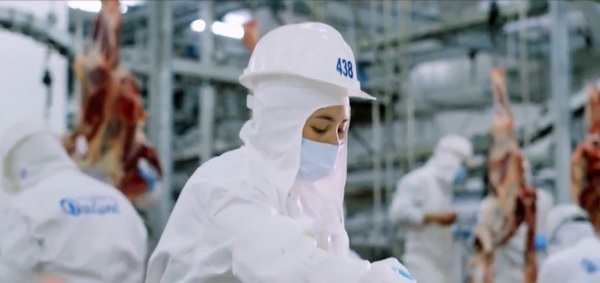 A pesar de los costos en Brasil, la industria cárnica en Paraguay se mueve normalmente - Megacadena - Diario Digital