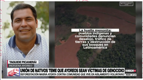 Acelerada deforestación en territorio de Ayoreos preocupa a la comunidad - Megacadena - Diario Digital