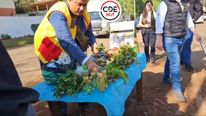 Prohíben la venta de carrulim frente a un colegio de Ciudad del Este