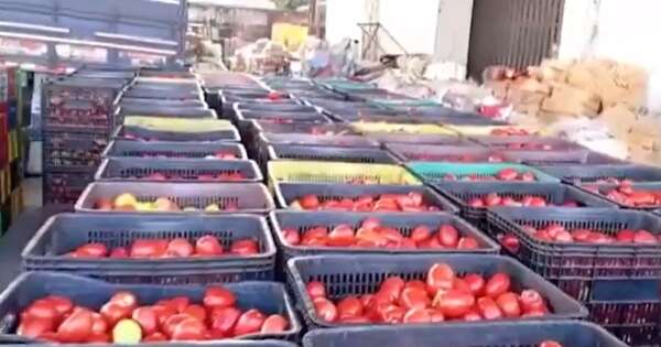 La Nación / Incautan 25 toneladas de productos frutihortícolas en Mariano Roque Alonso