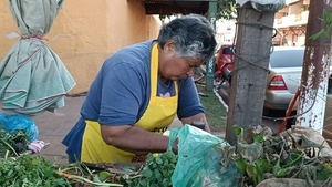 Tradición de Carrulim en Concepción: Renovando la Sangre y Atrayendo la Buena Suerte