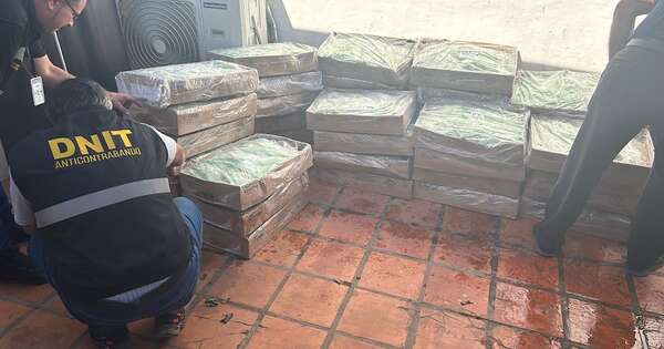 La Nación / Se incautan de 1.200 kilos de pollo que ingresaron de contrabando por Canindeyú