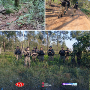 INCURSIÓN POLICIAL EN ALTO VERA: DESMANTELAN CULTIVOS DE MARIHUANA - TVS