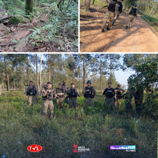 INCURSIÓN POLICIAL EN ALTO VERA: DESMANTELAN CULTIVOS DE MARIHUANA - TVS