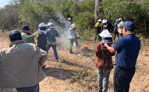 Comunidades indígenas de la cuenca del río Pilcomayo reciben capacitación en apicultura - .::Agencia IP::.