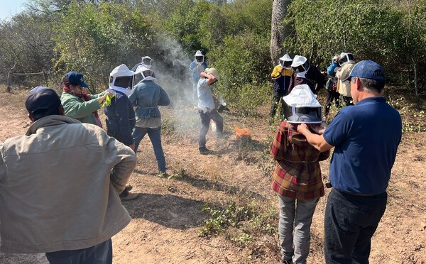 Comunidades indígenas de la cuenca del río Pilcomayo reciben capacitación en apicultura - .::Agencia IP::.