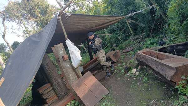 Hallan campamento y plantaciones de marihuana en zona de la Reserva San Rafael